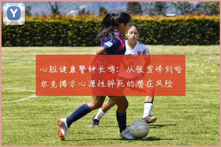 心脏健康警钟长鸣：从张雪峰到哈尔克揭示心源性猝死的潜在风险