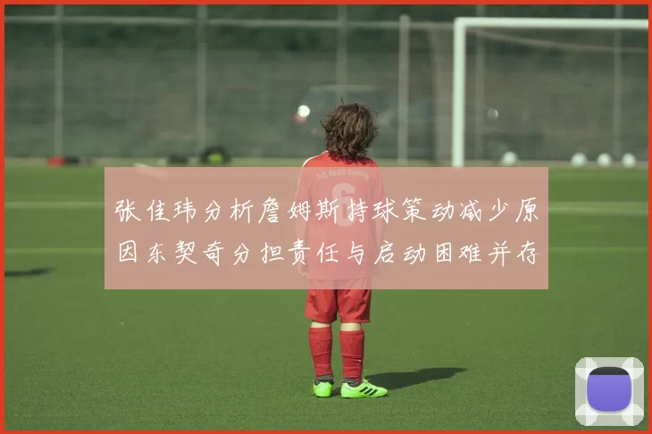 张佳玮分析詹姆斯持球策动减少原因东契奇分担责任与启动困难并存