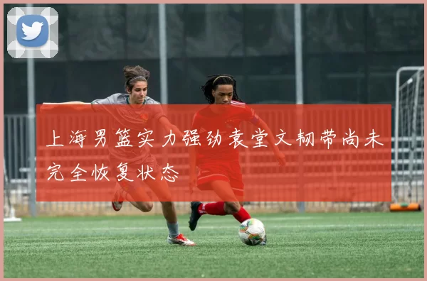 上海男篮实力强劲袁堂文韧带尚未完全恢复状态