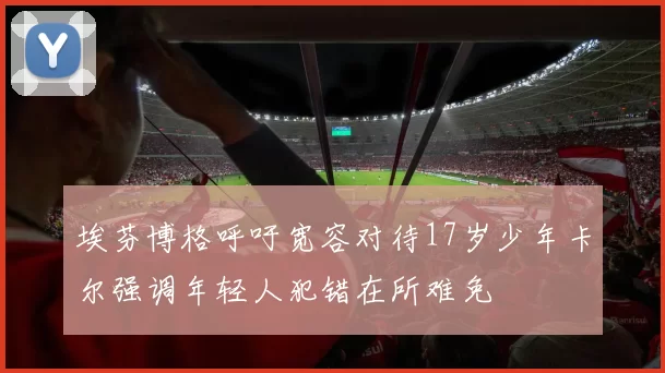埃芬博格呼吁宽容对待17岁少年卡尔强调年轻人犯错在所难免